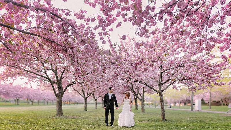 003(ryanbrenizer.com)