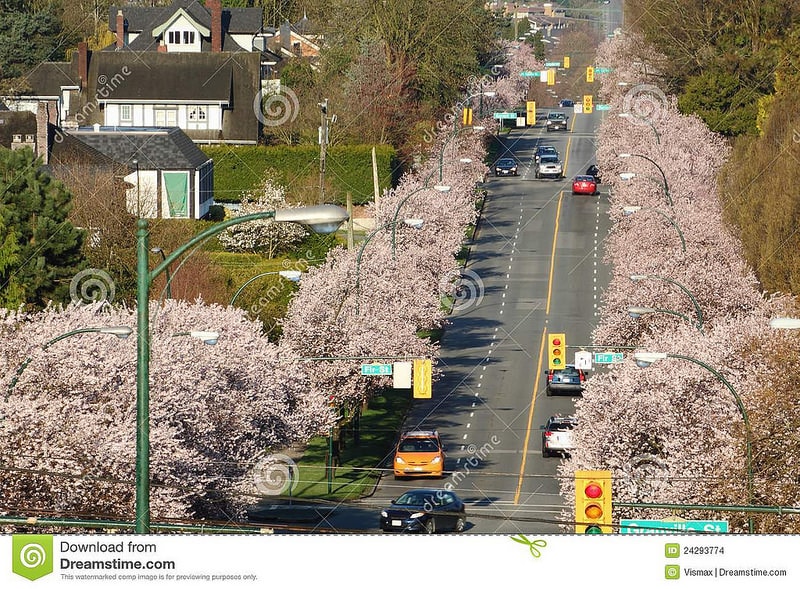 10(www.dreamstime.com)