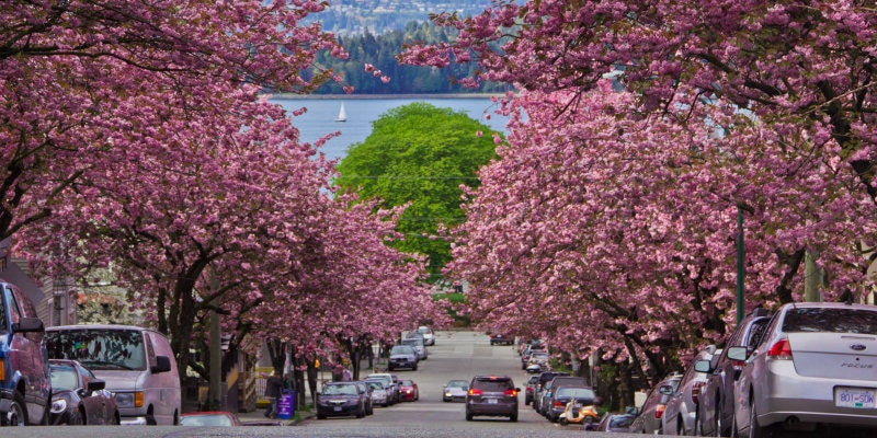 10(blog.virgin-atlantic.com)