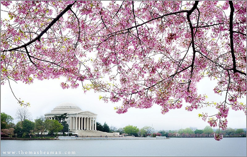 11(thomasbeaman.com)