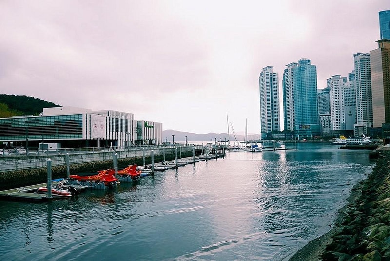 11081239_877814618946550_8236313691800990054_n