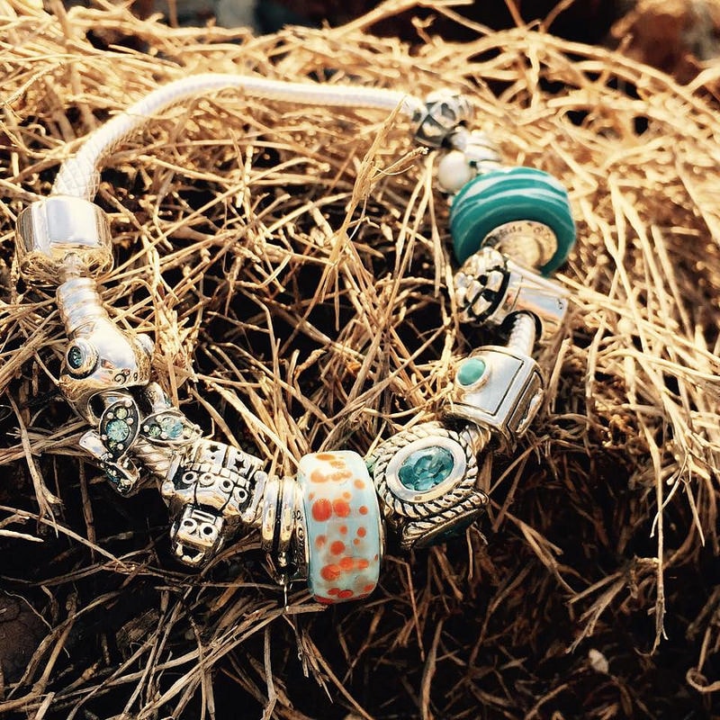 11990424_1632027320405738_5895656761265369506_n