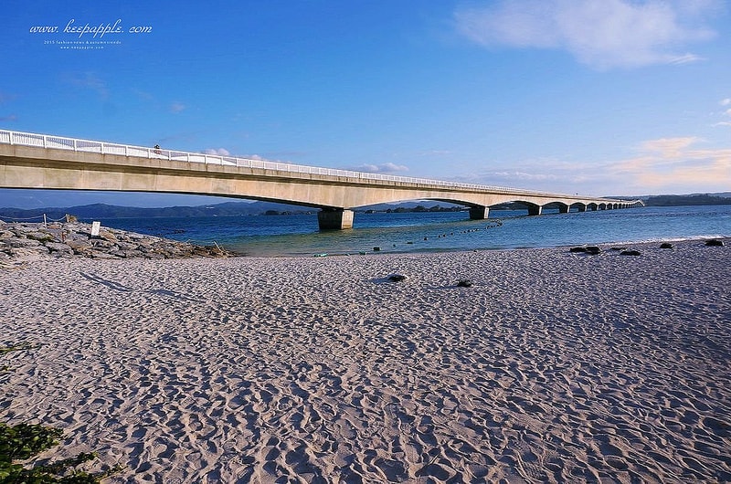 【逼先生專欄】沖繩自由行之總行程規劃篇:由南到北玩不停噠 - 第88張圖 DSC07271
