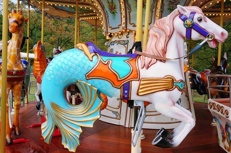 【關西旅遊】眺望『海之京都』丹後くろまつ号與日本三大景之天橋立 - 第68張圖 12179580_1177427308952070_124296438_n