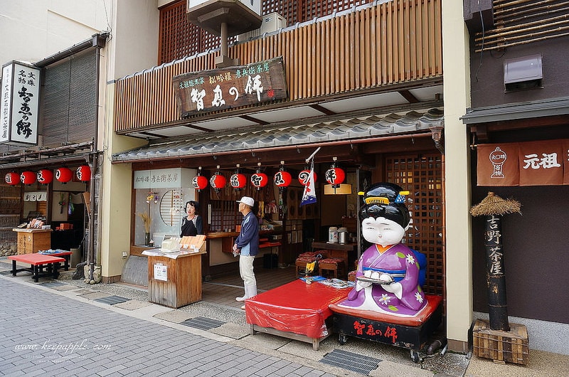 【關西旅遊】眺望『海之京都』丹後くろまつ号與日本三大景之天橋立 - 第71張圖 DSC03501