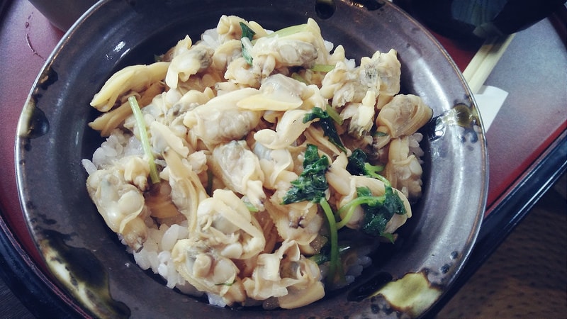 【關西旅遊】眺望『海之京都』丹後くろまつ号與日本三大景之天橋立 - 第80張圖 IMG20150918135706