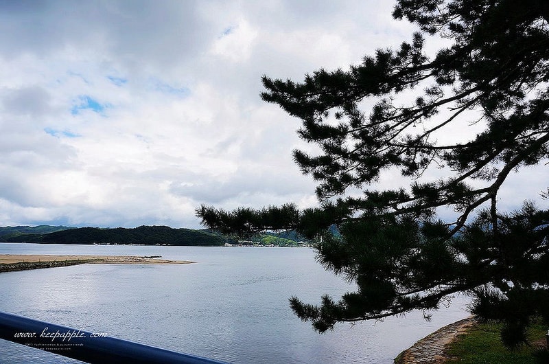 【關西旅遊】眺望『海之京都』丹後くろまつ号與日本三大景之天橋立 - 第82張圖 DSC03521