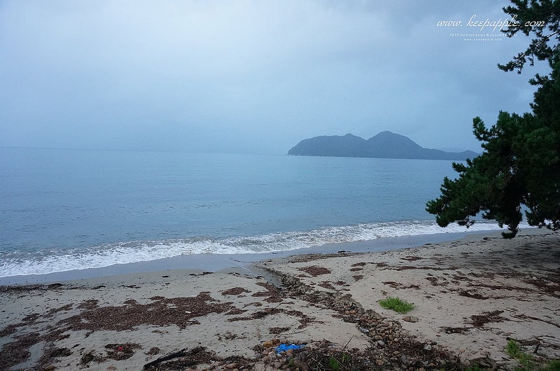 【關西旅遊】眺望『海之京都』丹後くろまつ号與日本三大景之天橋立 - 第88張圖 DSC03539