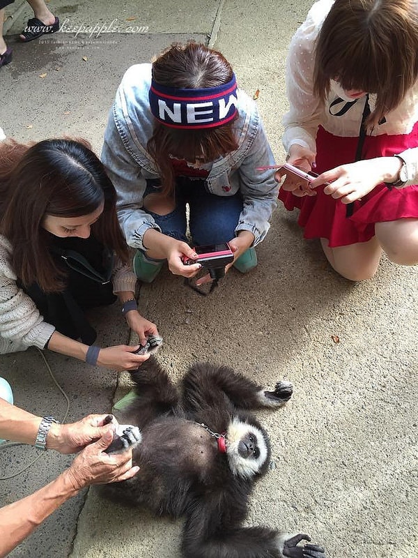 12007028_692582160876940_251636281_n