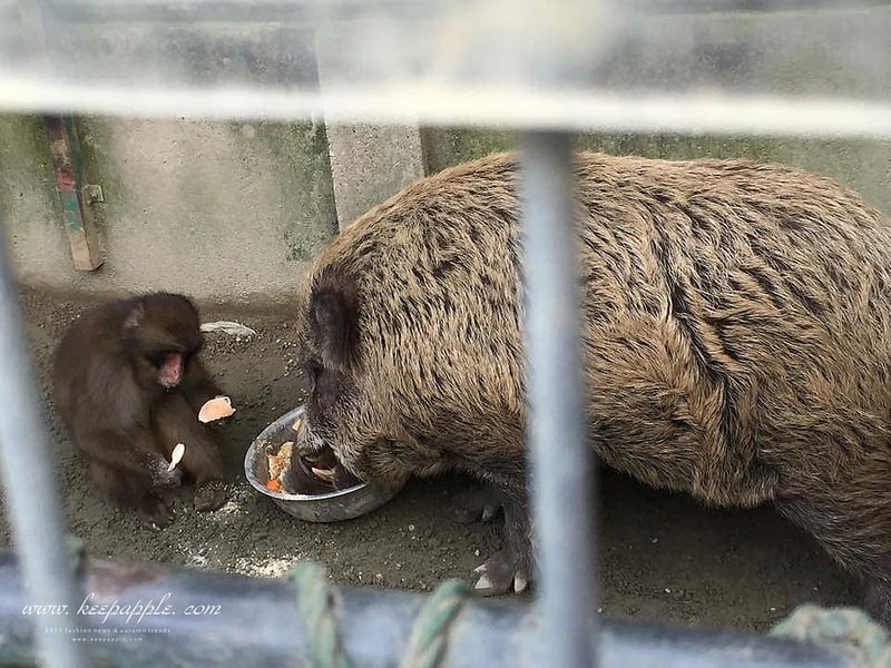 12032550_692582124210277_662430568_n