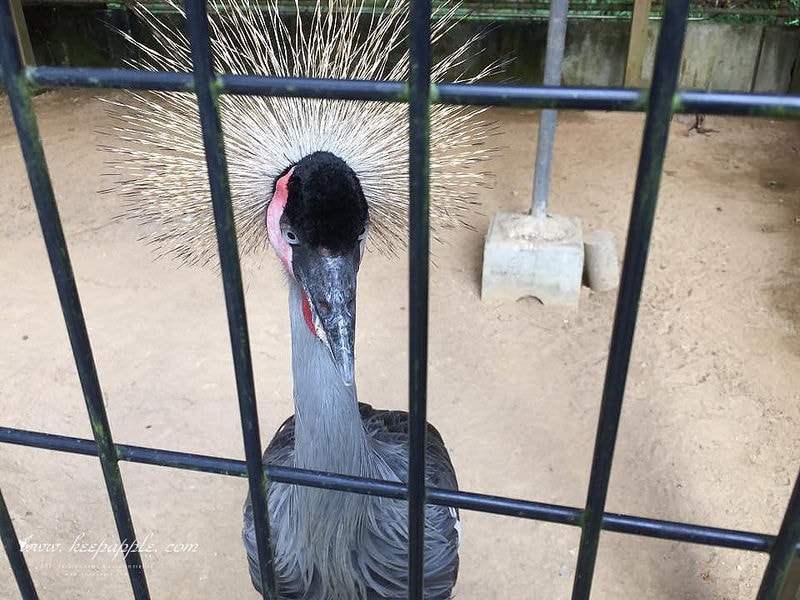 12021829_692581650876991_93267350_n