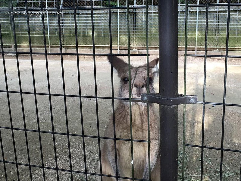 12048910_692581647543658_1495403943_n