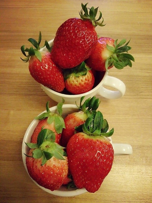 12495167_1027165494011461_2456539422889663842_n