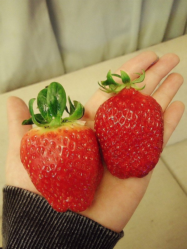 12573859_1027166010678076_1736242431198929155_n