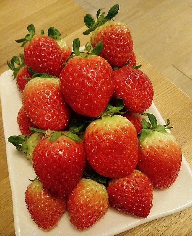 12592290_1027165947344749_2768674099473469890_n