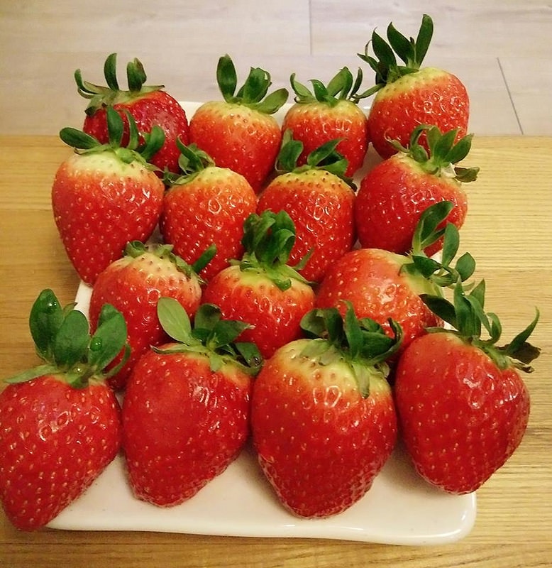 12631460_1027165874011423_3156565484409326721_n