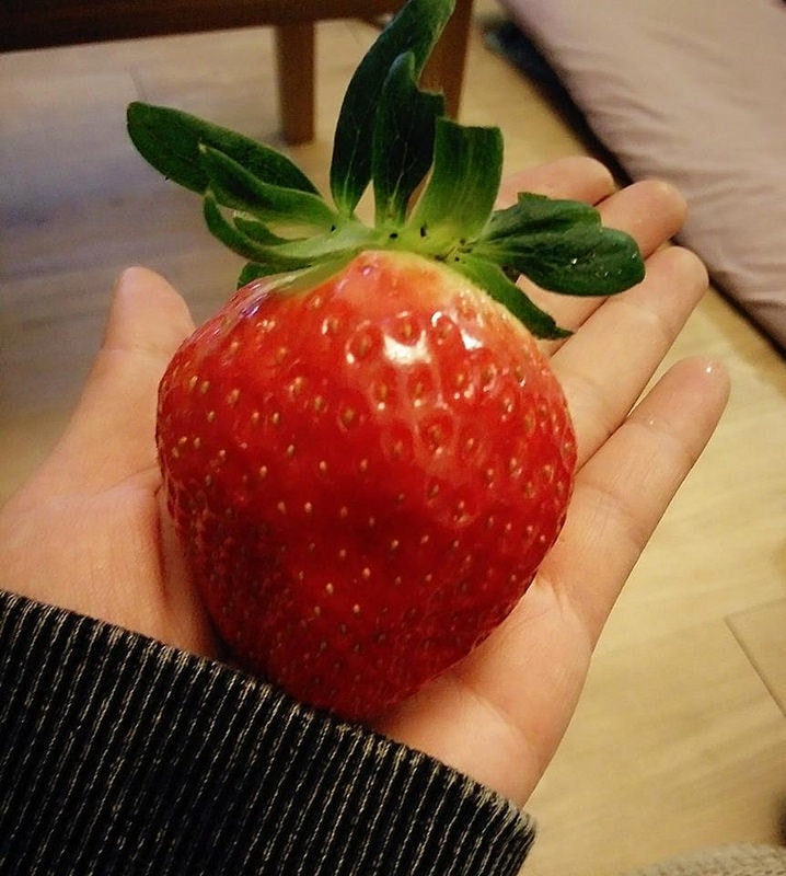 12642859_1027165694011441_4282355063645448370_n