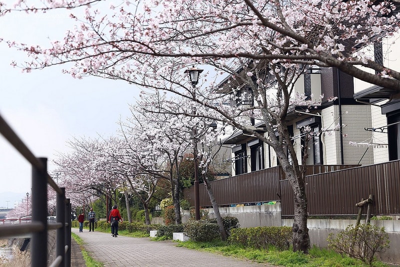 【逼先生專欄】《九州自由行:福岡篇》太宰府天滿宮、竈門神社,以及滿滿的美食之旅來噠~ - 第4張圖 IMG_3931