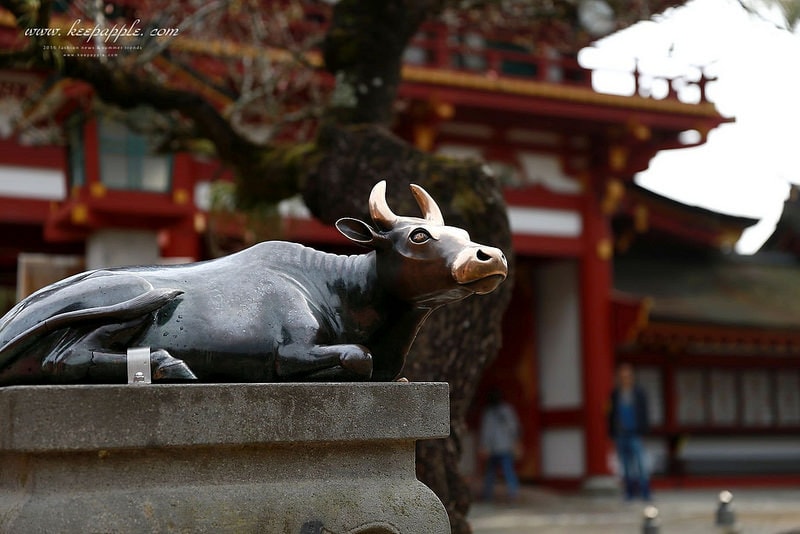 【逼先生專欄】《九州自由行:福岡篇》太宰府天滿宮、竈門神社,以及滿滿的美食之旅來噠~ - 第18張圖 IMG_4094
