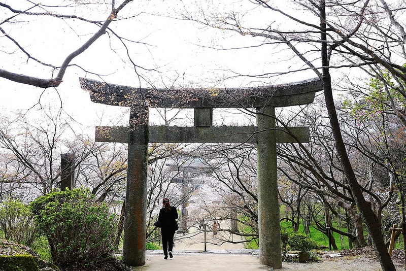 【逼先生專欄】《九州自由行:福岡篇》太宰府天滿宮、竈門神社,以及滿滿的美食之旅來噠~ - 第20張圖 IMG_4232
