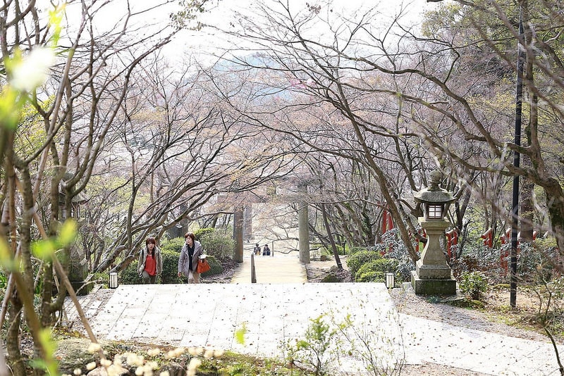 【逼先生專欄】《九州自由行:福岡篇》太宰府天滿宮、竈門神社,以及滿滿的美食之旅來噠~ - 第21張圖 IMG_4165