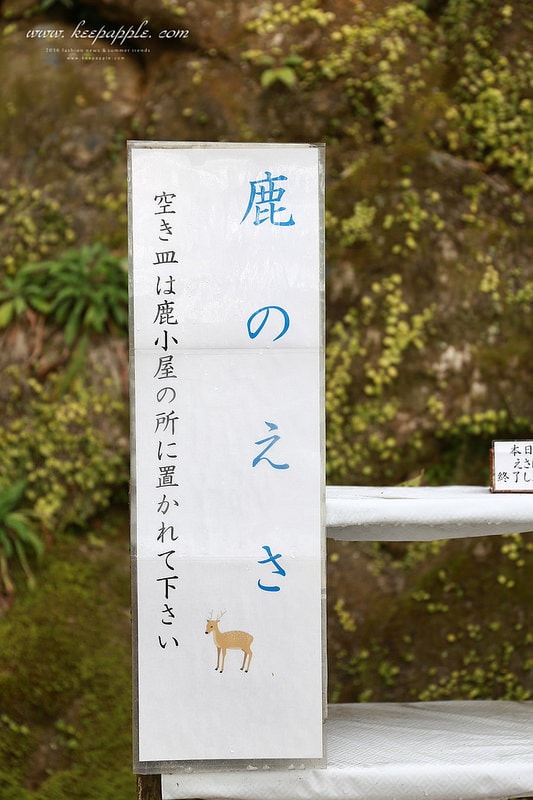 【逼先生專欄】《九州自由行:福岡篇》太宰府天滿宮、竈門神社,以及滿滿的美食之旅來噠~ - 第22張圖 IMG_4171