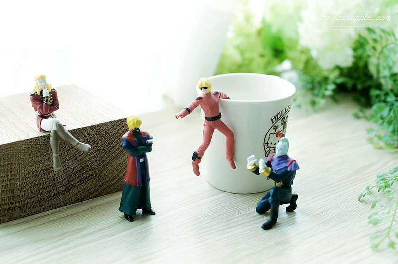 【旅行+敗家】2016北海道家族之旅。總之和家人出國就是會買一堆奇怪的東西(笑) - 第87張圖 DSC08057