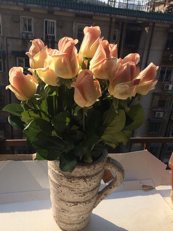 T2Mw2eXEtXXXXXXXXX_!!133599512