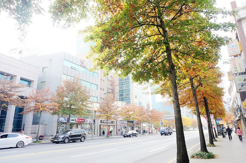 【逼先生專欄】《大邱自由行全攻略》在大邱感受傳統和現代的咖啡氛圍:咖啡胡同、咖啡名家、mu-a~ - 第5張圖 DSC02119