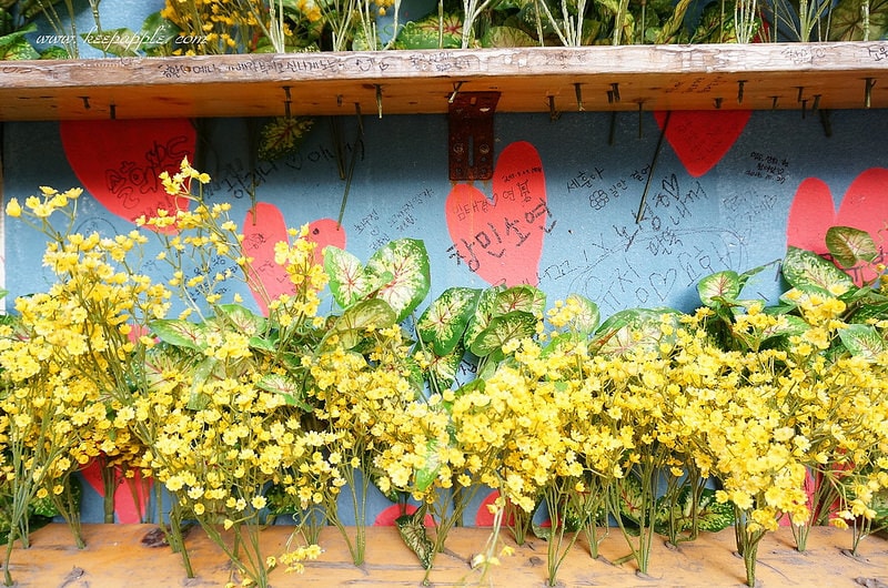 【逼先生專欄】《大邱自由行全攻略》2號線慶大醫院站:大邱必訪景點,金光石懷念壁畫之路~ - 第29張圖 DSC02616