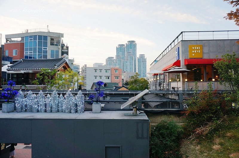 【逼先生專欄】《大邱自由行全攻略》2號線慶大醫院站:大邱必訪景點,金光石懷念壁畫之路~ - 第52張圖 DSC02703