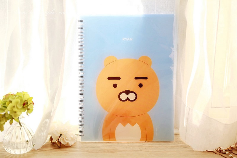 【旅行+敗家】2016韓國大邱八天七夜戰利品。我好喜歡的萊恩一大堆 - 第47張圖 IMG_0450