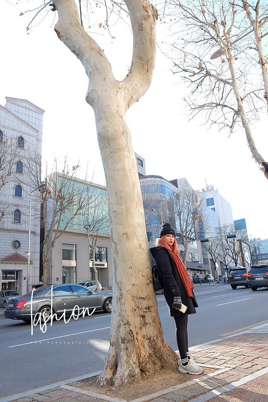 【旅行+穿搭】三月的韓國-2度到11度怎麼穿 // 九天八夜韓國自由行穿搭紀錄 - 第23張圖 DSCF3063