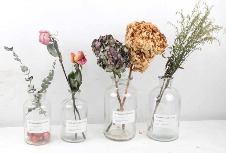 TB2B17CeR8lpuFjSspaXXXJKpXa_!!292093929