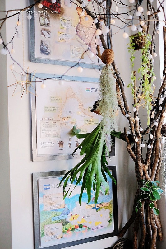 17157766_1389594544435219_8901660408708276220_o