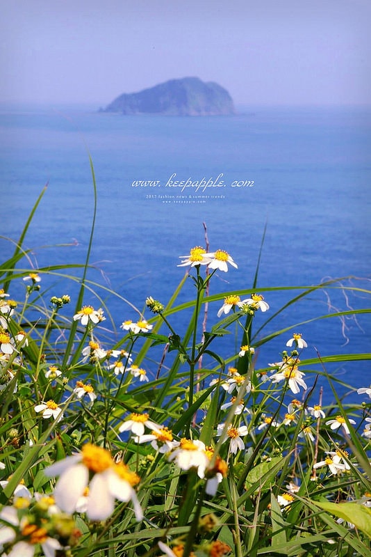 【飲品】與家人和朋友盡情享受野餐的時光 feat. 瑞典來的庫柏格水果酒 - 第4張圖 IMG_8650