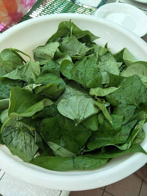 20885187_1784808921546916_1085729003_n