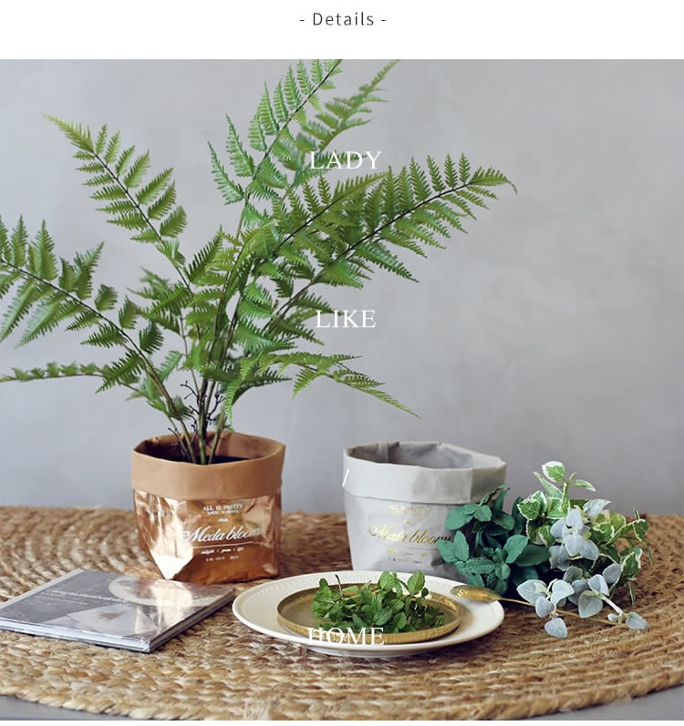 TB2PyPEdMb.PuJjSZFpXXbuFpXa_!!70875278