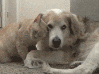 475vD_s-200x150(PopKey)