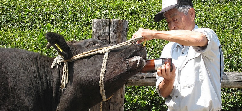 002b (www.city.matsusaka.mie.jp)