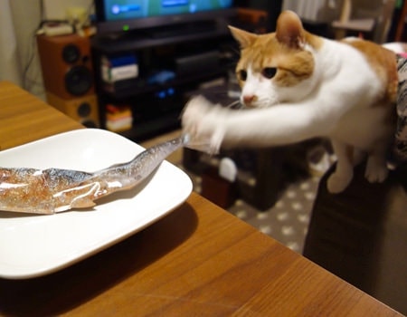 【逼先生專欄】《2018情人節巧克力特輯》女朋友收到會開心嗎!? - 第23張圖 06 (9)