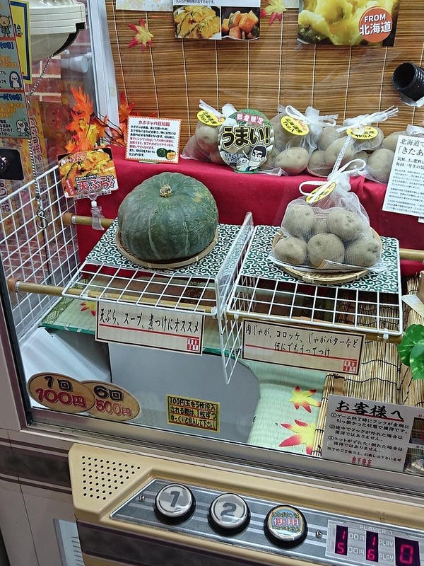 【逼先生專欄】《暴走的夾娃娃機特輯》好像是混進了的奇怪物品!!! - 第6張圖 (twitter.com)