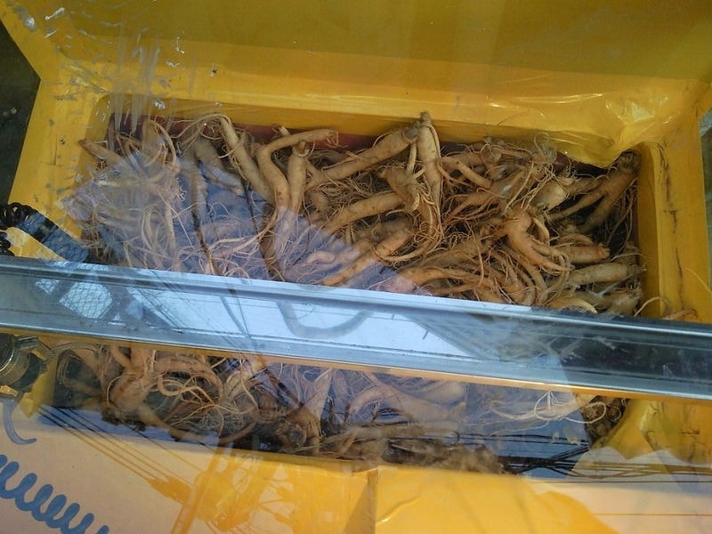 【逼先生專欄】《暴走的夾娃娃機特輯》好像是混進了的奇怪物品!!! - 第18張圖 韓國(www.dogdrip.net)