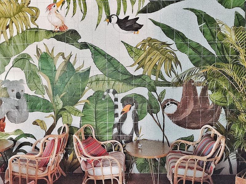 26047507_783457031861739_1851327185921930537_n