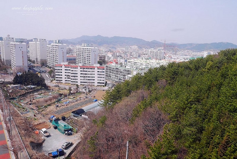 【釜山旅行】KLOOK統營一日遊。閒麗水道展望纜車+超好玩Skyline Luge (下) - 第29張圖 P1450208