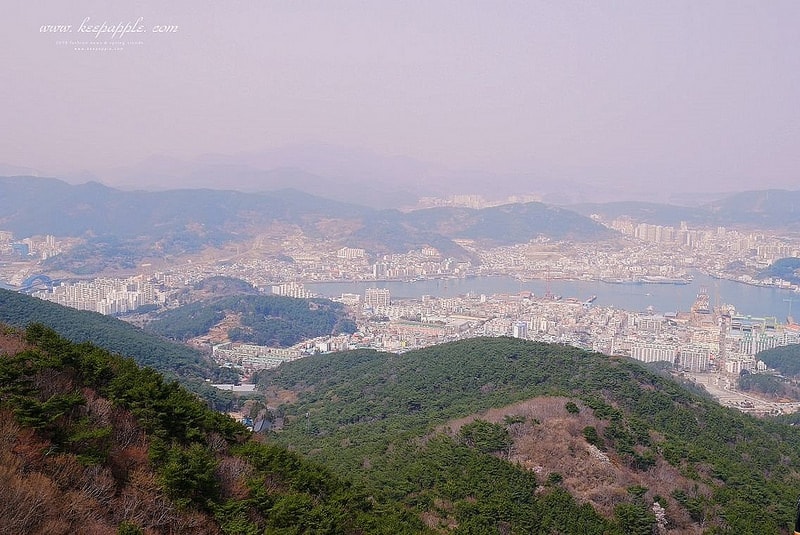 【釜山旅行】KLOOK統營一日遊。閒麗水道展望纜車+超好玩Skyline Luge (下) - 第47張圖 P1450338