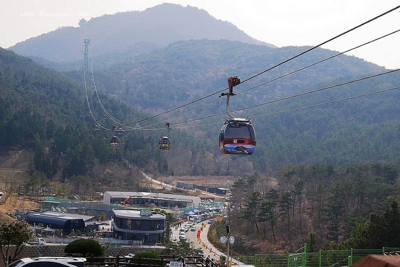 【釜山旅行】KLOOK統營一日遊。閒麗水道展望纜車+超好玩Skyline Luge (下) - 第55張圖 P1450396