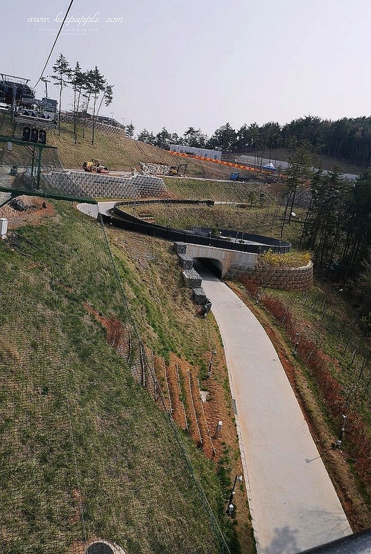 【釜山旅行】KLOOK統營一日遊。閒麗水道展望纜車+超好玩Skyline Luge (下) - 第67張圖 P1450416