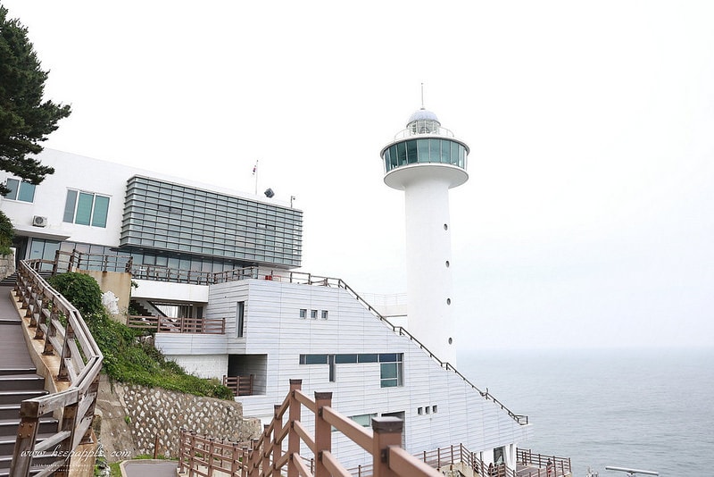 【逼先生專欄】《2018釜山自由行全攻略》搭地鐵玩遍釜山:行程建議、熱門景點、美食分享懶人包~ - 第154張圖 IMG_2755