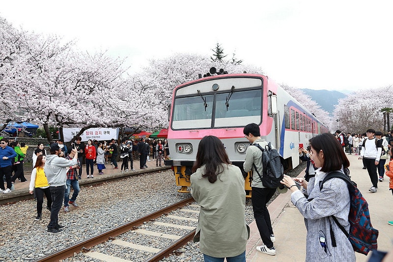 【逼先生專欄】《2018釜山自由行全攻略》搭地鐵玩遍釜山:行程建議、熱門景點、美食分享懶人包~ - 第157張圖 P1000826c